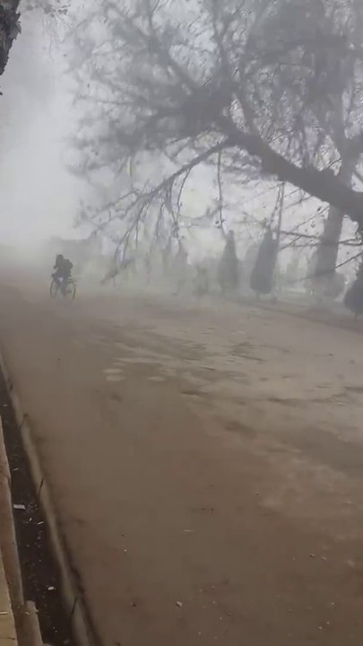 Ce gars à vélo se fait écraser par un arbre...