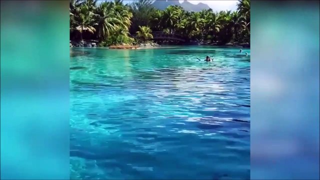 Cet endroit est le paradis sur terre... des eaux limpides