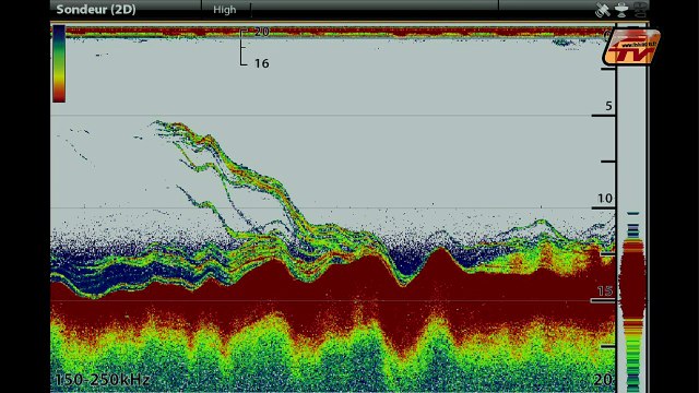 GRAND PAVOIS FISHING 2017 - NAVICOM