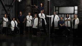Grey's Anatomy  Season 14 - Episode 1 Full-HD Watch Online