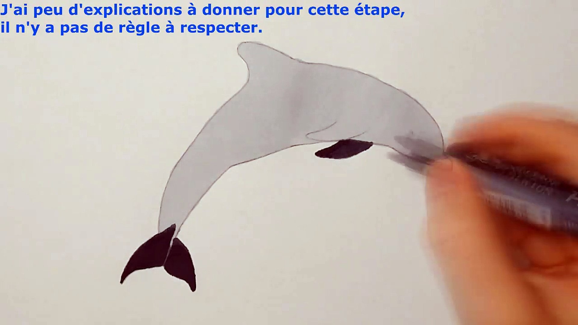 Dessiner Un Dauphin Tutoriel Facile Xsg8ivpjzb4
