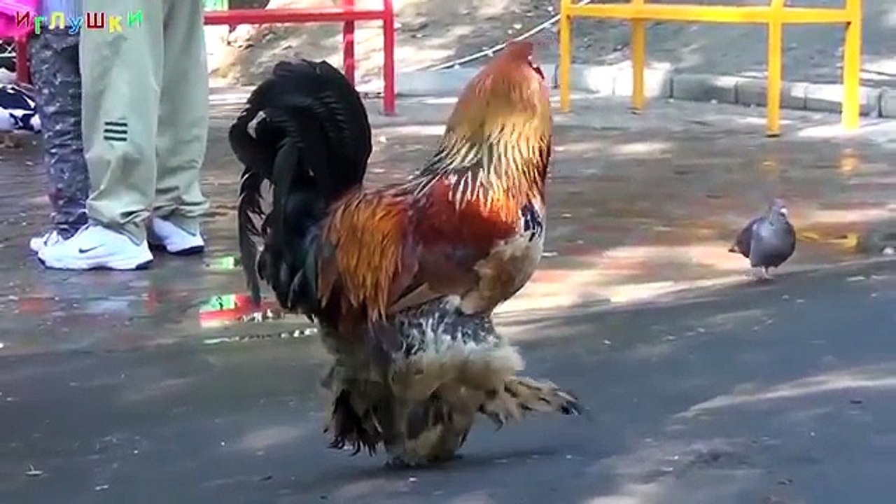 [ ДОМАШНИЕ ЖИВОТНЫЕ для ДЕТЕЙ ] с ГОЛОСАМИ. Развивающие ВИДЕО про животных для детей в HD