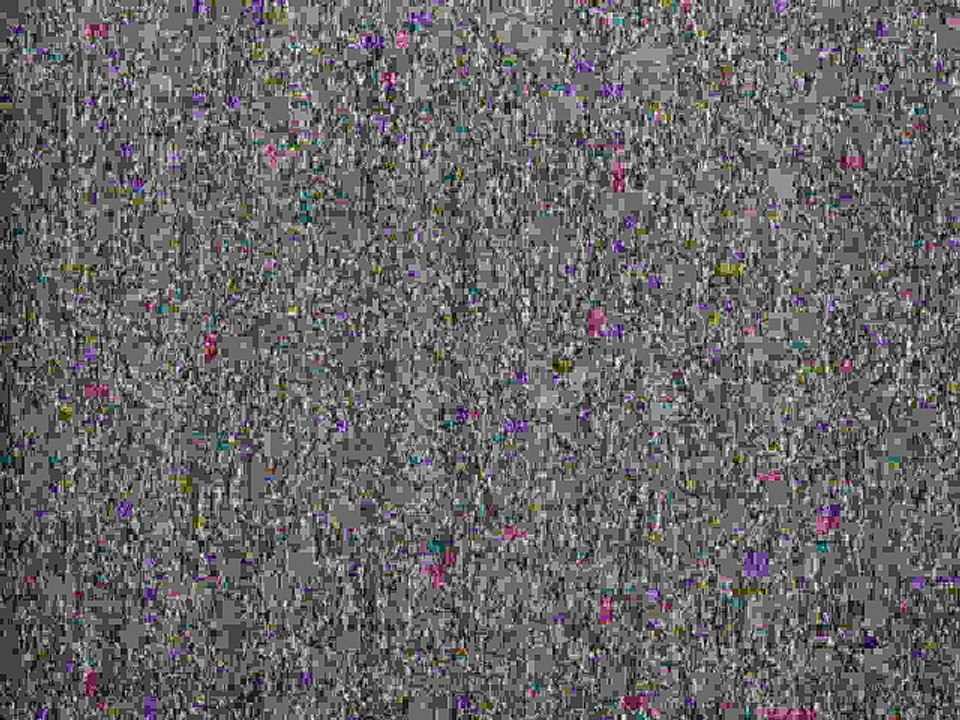 MVI_2121