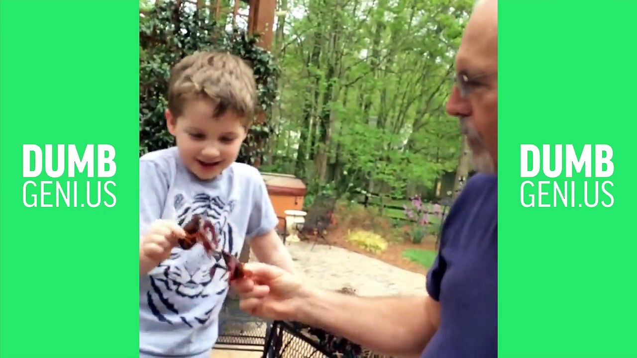 Funny Vine TRY NOT to LAUGH or GRIN MEME Compilation - Best Dumb Genius Comp 2017