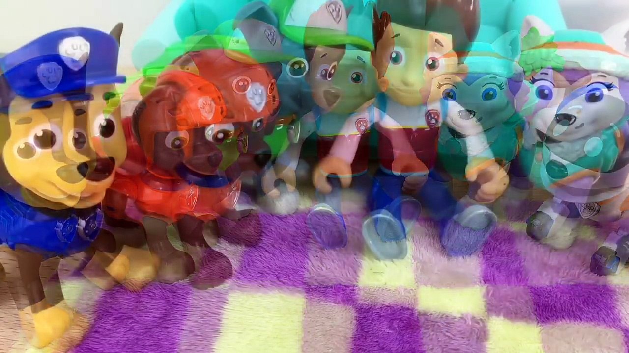 Patrulha Canina Especial A Fada do Dente episódio em Portugues Patrulla Pata