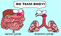 (Old Video) Human Body Systems: The 11 Champions (Old Video)