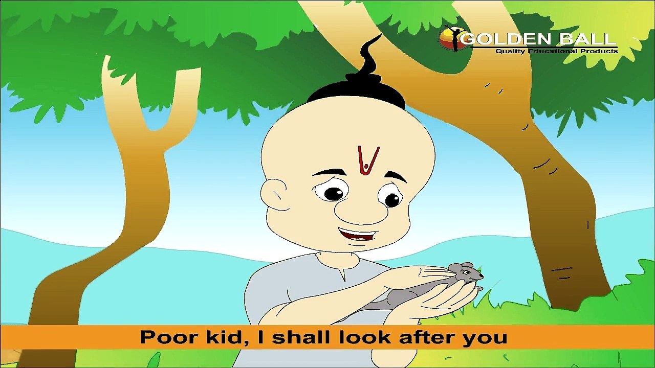 Mongoose & Pandits Wife - Kids Story | Panchatantra Tales in English | Stories For Kids In English