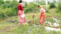 Amazing Beautiful Girls Catch Fish by Hand in the Rice Field in Siem Reap