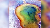 Découvrez le magnifique Parc National de Yellowstone aux États-Unis !