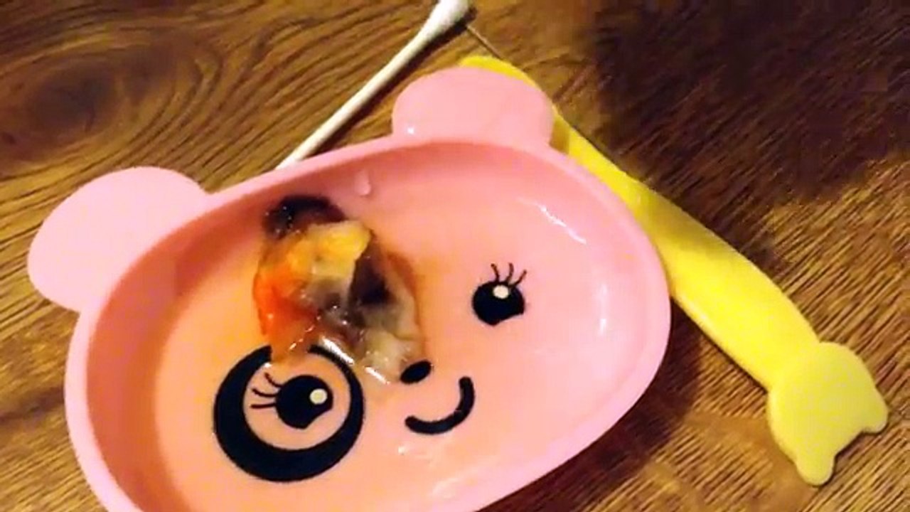 Baby Alive -- How to Make Baby Alive Doll Juice