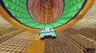 GTA 5 Epic Hot Wheels Stunt Race Track Cunning Stunts DLC