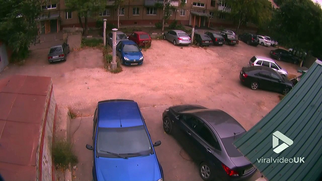 Chute d'un arbre quelques secondes après le passage d'une femme !