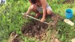 Amazing video, Creative Boy Using Plastic Pipes With Deep Hole To Eel Trap - Catch Eels In Hole