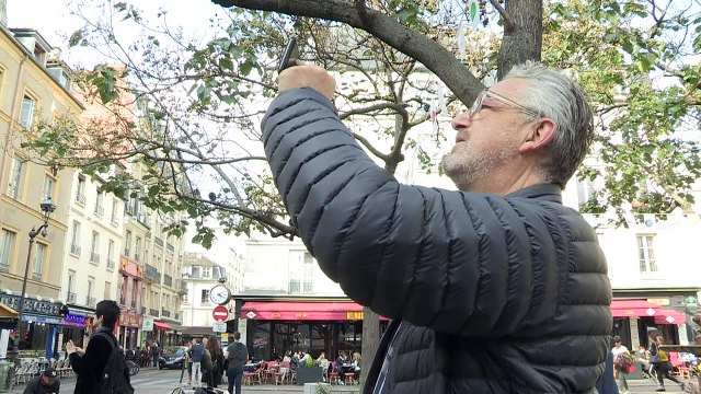 Au Nègre Joyeux : Débat sur les vestiges de l’époque coloniale