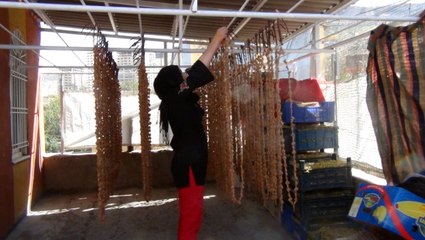 Üzümün Pestil, Pekmez ve Sucuk Yolculuğu Başladı