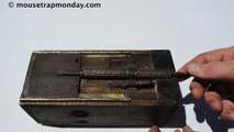 Antique MacGyver Mouse Trap In Action with Motion Cameras. *Honey Bee Hunting Trap*