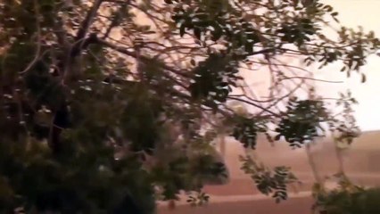 모래 폭풍의 무서운 힘 - 충격적인 장면들 - 무서운 자연재해