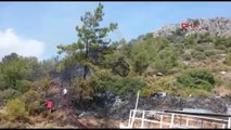 Datça'da 5 Dönüm Kızılçam Ormanı Yandı