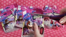 LPS Littlest Pet Shop Party Styling Pets Blind Bag Surprise Opening