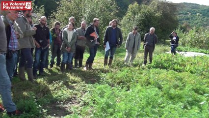 Terr'Eau Bio et légumes AB demi-gros