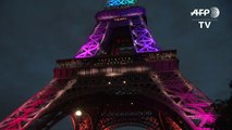 La tour Eiffel fête ses 300 millions de visiteurs