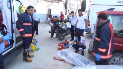 Mersin 15'inci Kattan Ölüme Atladı