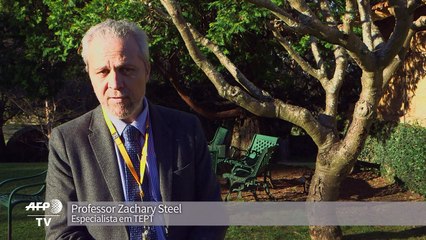 Cães ajudam no tratamento de TEPT