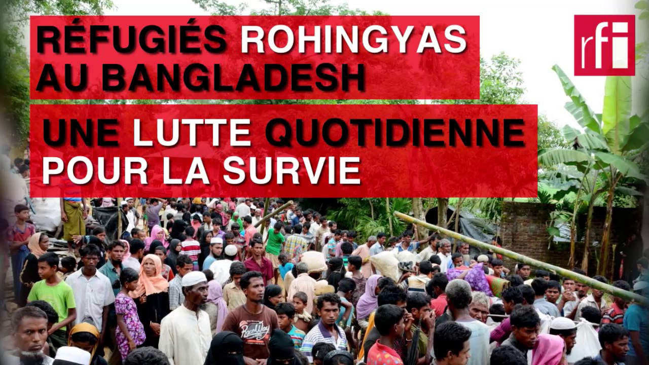 Réfugiés rohingyas au Bangladesh : une lutte quotidienne pour la survie