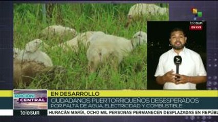 Puerto Rico: desesperación por falta de agua, luz y combustible