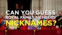 Can You Guess the Royal Family Members Nicknames 3F