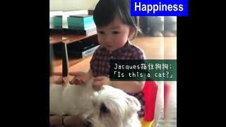 周汶錡囝囝 搞笑咁摸住隻狗問: Is it a cat? (Super Cute)