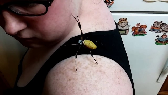 Araignée sur le visage