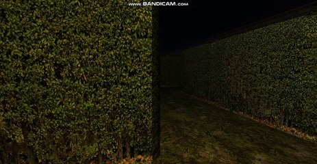 Slender #10 Slender: Claustrophobia #1