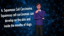 Common Types of Cancer in Dogs - Canine Tumors (PART 2)