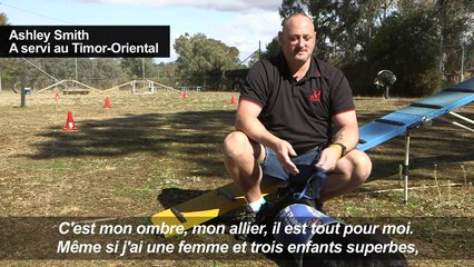 En Australie, des chiens pour soigner le stress post-traumatique