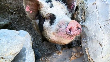 The top 7 weirdest state facts