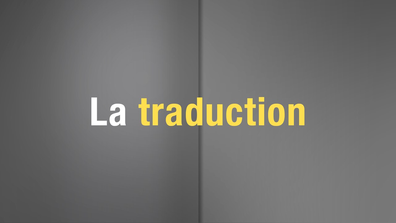 Foire du Livre de Francfort - La traduction (3/6)