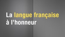 Foire du Livre de Francfort - La langue française à l'honneur (2/6)