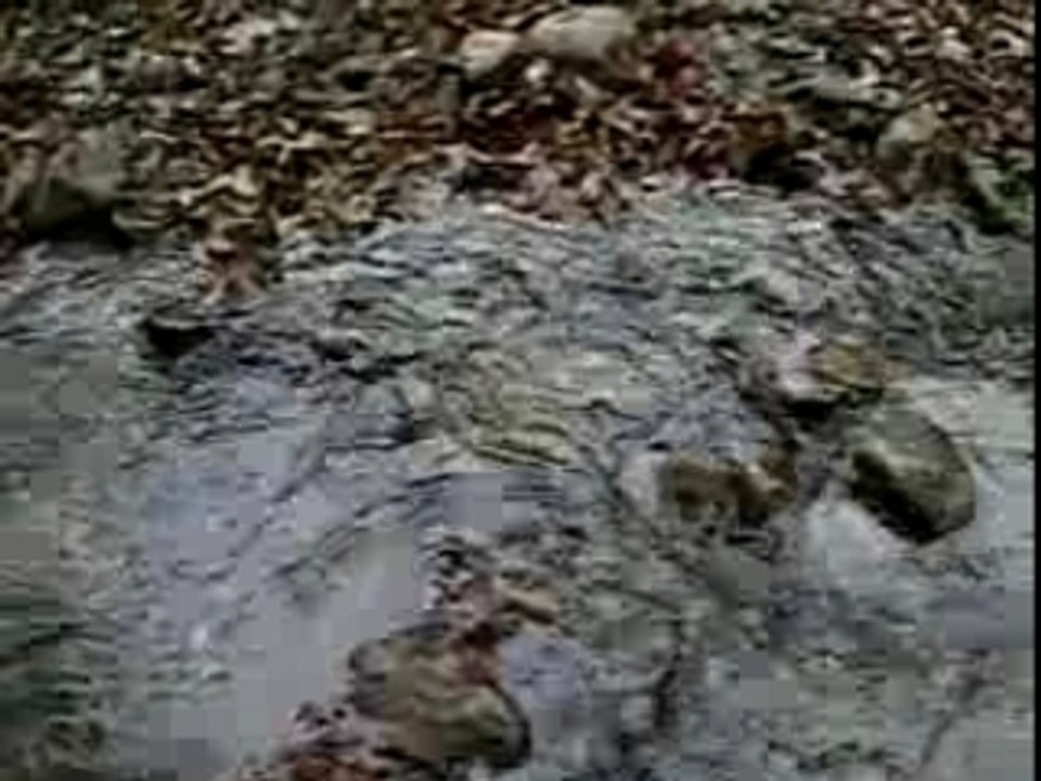 rando quad auvergne !!!!!!!!