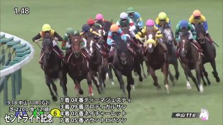 2016年 菊花賞の参考レース映像
