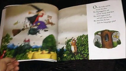 Room on the broom - Book reading for children - Read aloud video