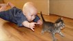 Babies annoying cats – Funny baby & cat compilation