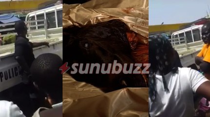 Scandale-Parcelles Assainies : Une tête de cheval trouvée devant  la…