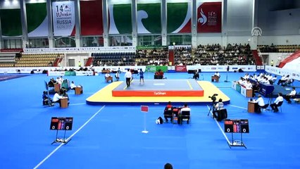 14. Dünya Büyükler Wushu Şampiyonası - Kazan