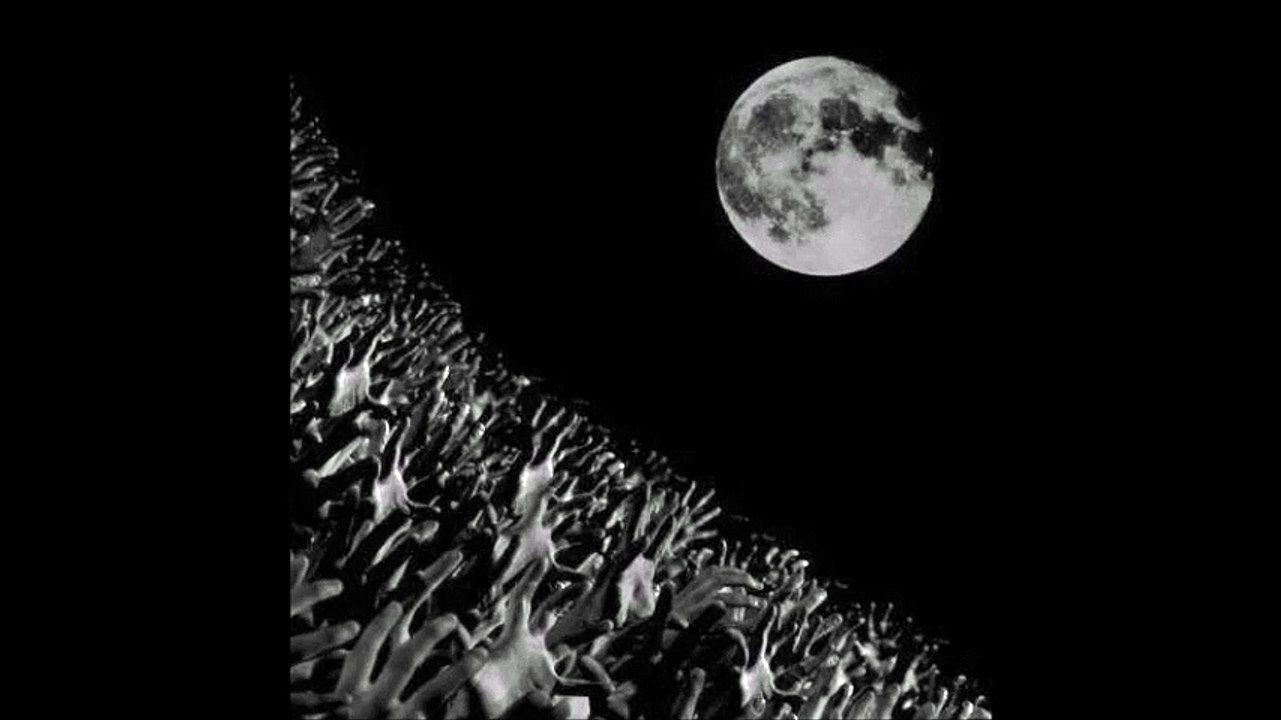 Muse - Blackout, Munich Zenith, 10/24/2003