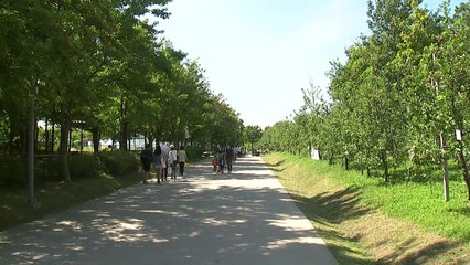 [날씨] 내일부터 비바람...추석 쌀쌀, 귀경길 제주 비 / YTN