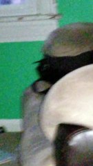 Dog Sees Something That Isn't There. Is it a Ghost?