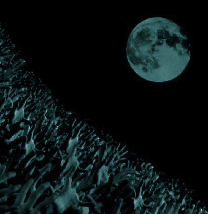 Muse - The Small Print, Vienna Gasometer, 10/25/2003
