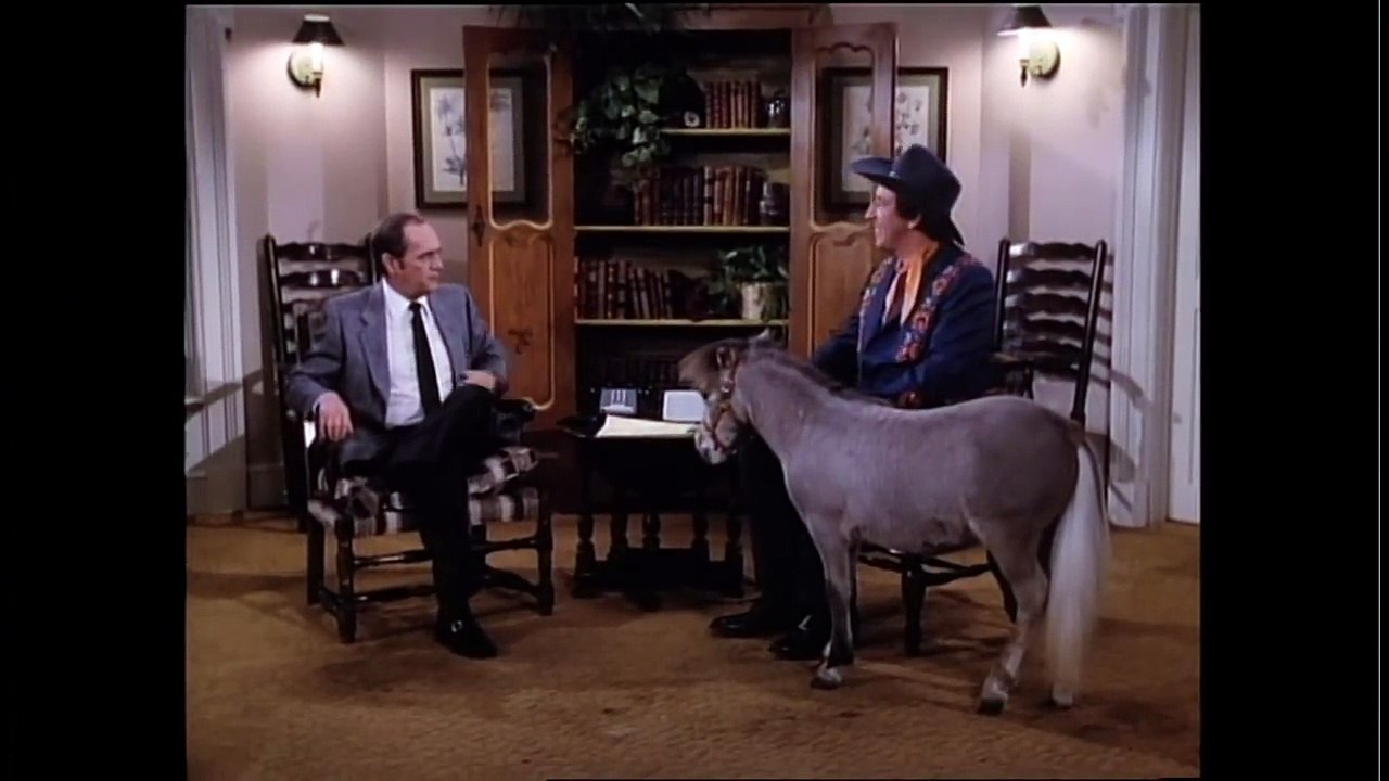 Newhart Season Two Clip The World's Smallest Horse video Dailymotion