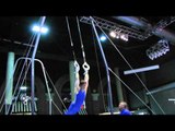 Lee Grogan - Still Rings - 2012 Winter Cup Prelims